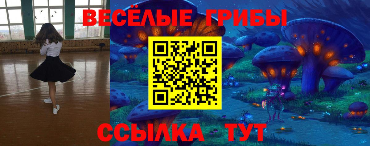 купить  сайты  Вход с VPN  Новозыбков  Галлюциногенные грибы прущие грибы 