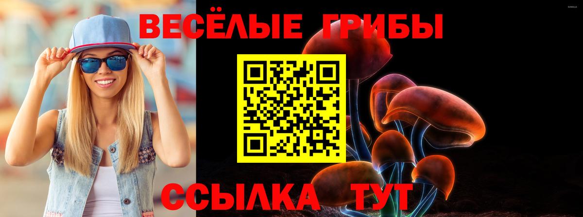 Псилоцибиновые грибы GOLDEN TEACHER Новозыбков