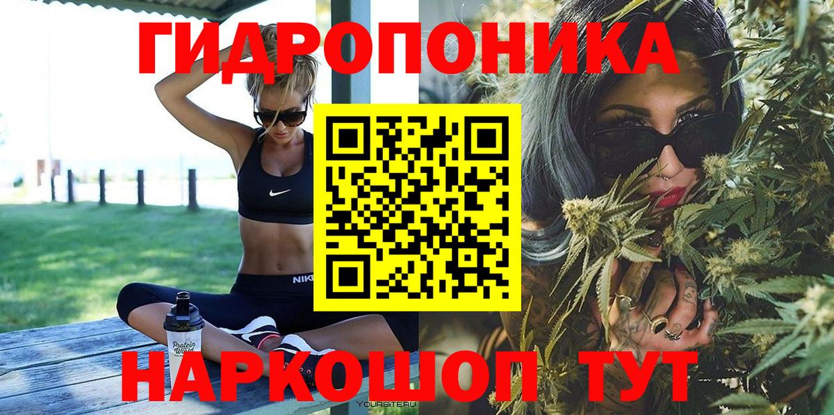 Новозыбков  Бошки Шишки LSD WEED  Конопля тримм  Канабис MAZAR  Вход с VPN  Конопля планчик 